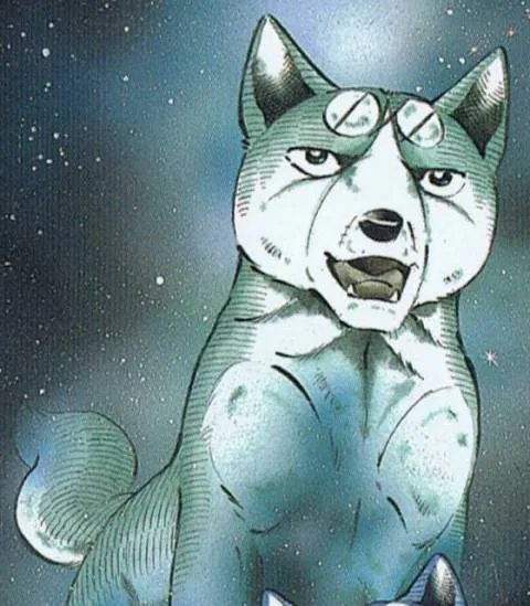 Nagareboshi Gin