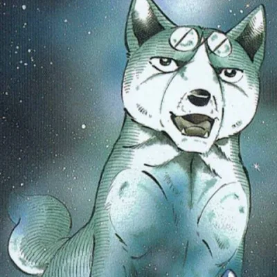 Nagareboshi Gin