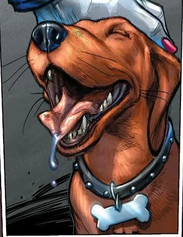 Nathan the Dachshund