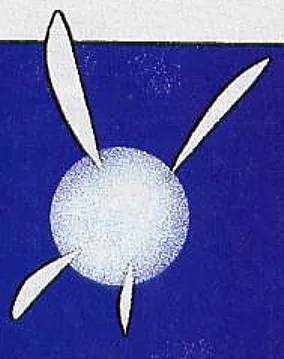 Navi
