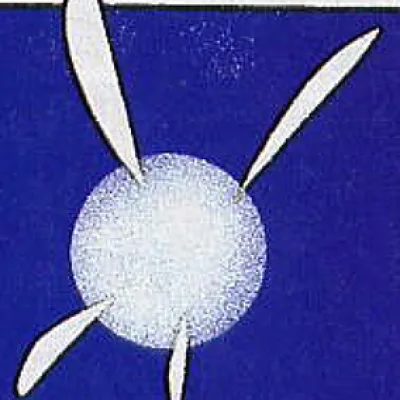 Navi