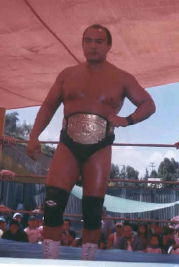 Negro Navarro