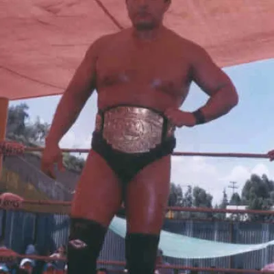 Negro Navarro