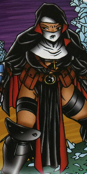 Ninja Nun