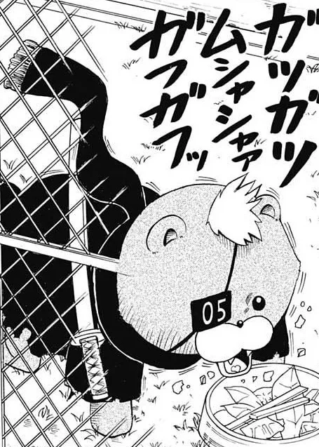 No. 05
