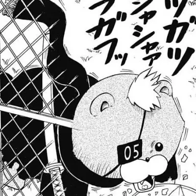 No. 05
