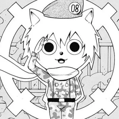 No. 08