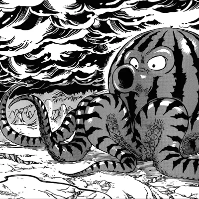 Octo-chan