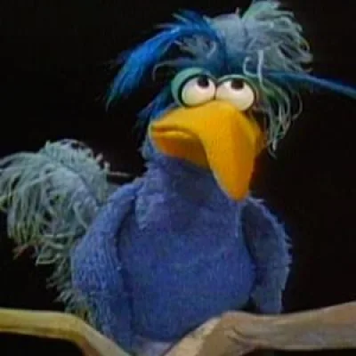 Ohboy Bird
