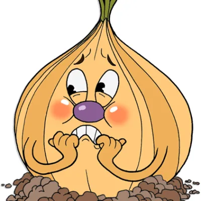 Ollie Bulb