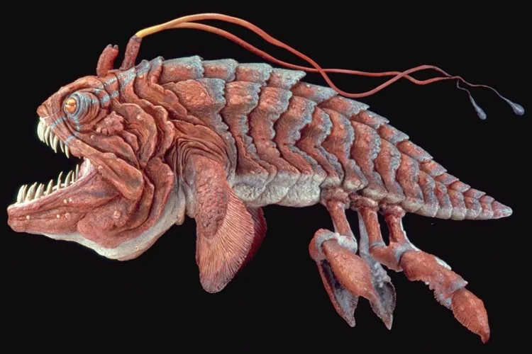Opee Sea Killer