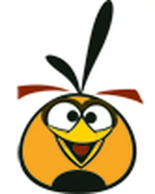 Orange Bird