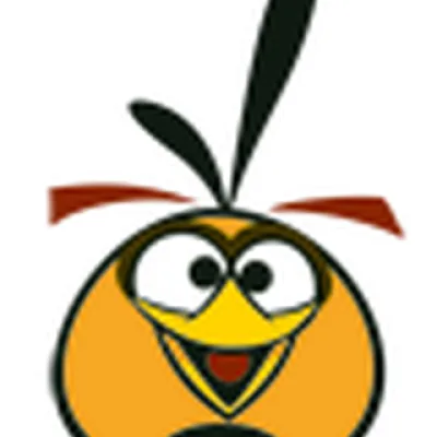 Orange Bird