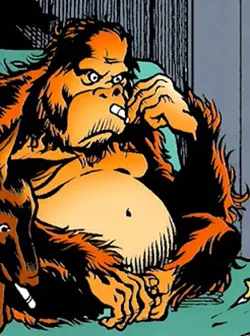 Orangutan