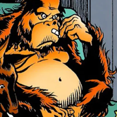 Orangutan