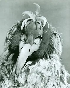 Orson Vulture