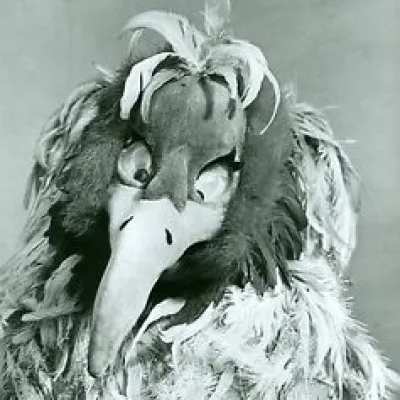 Orson Vulture