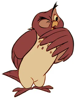 Owl