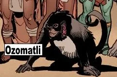 Ozomatli