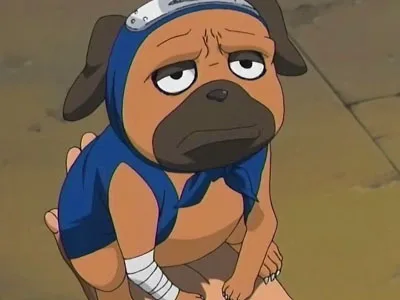Pakkun