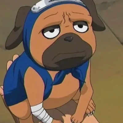 Pakkun