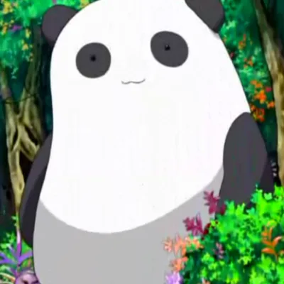 Pandaro