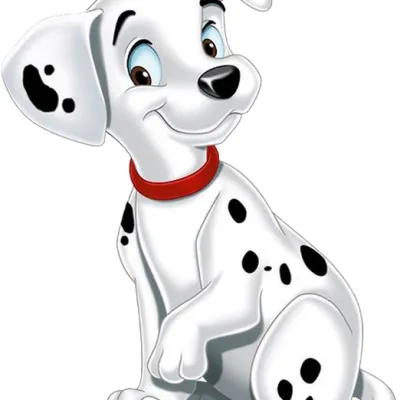 Pepper