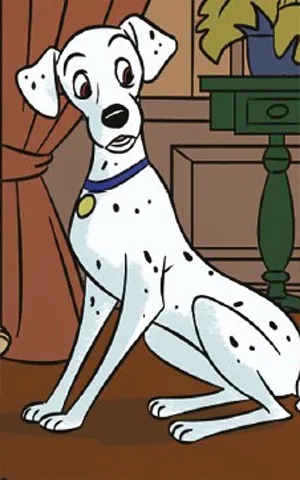 Perdita