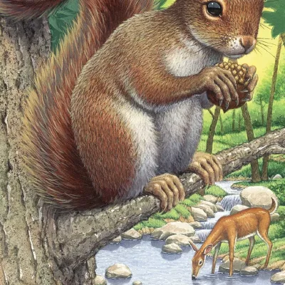 Perri