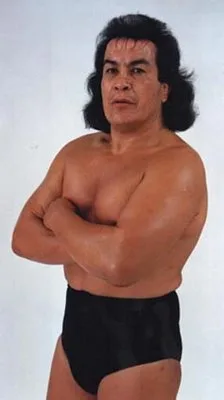 Perro Aguayo