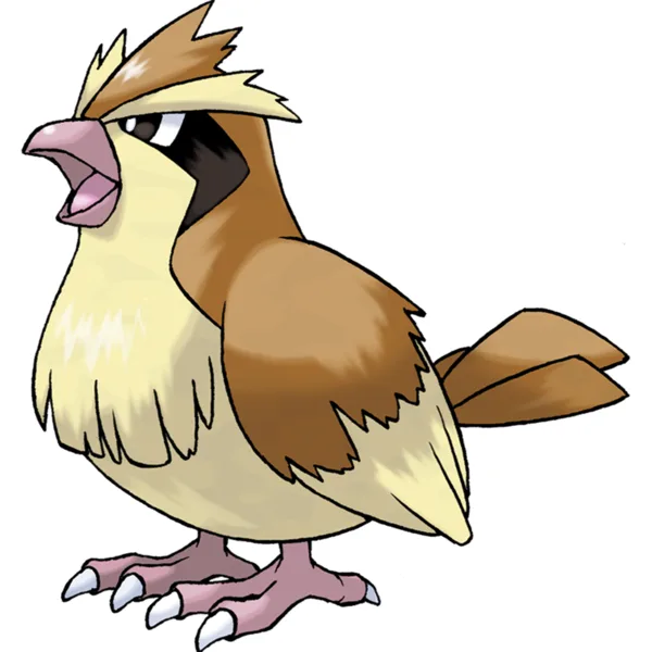 Pidgey
