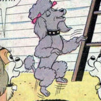 Pierre the Poodle