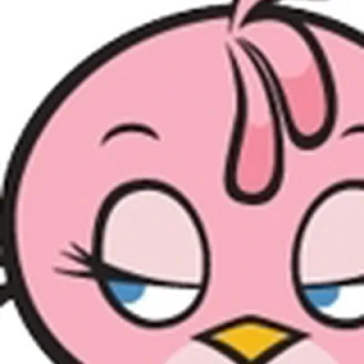 Pink Bird