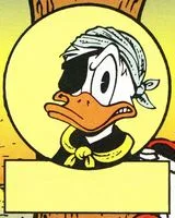 Pintail Duck