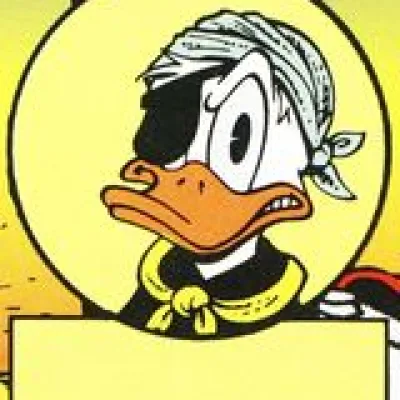 Pintail Duck