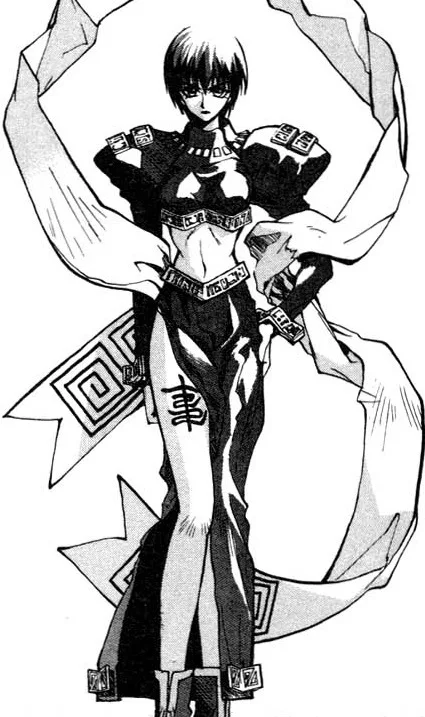 Pipa Jing