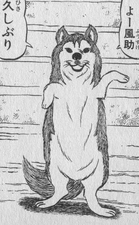 Pochi
