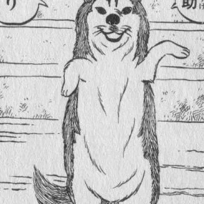 Pochi