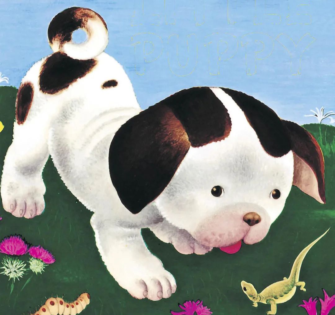 Poky Little Puppy
