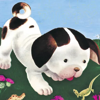Poky Little Puppy