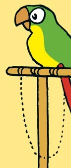 Polly