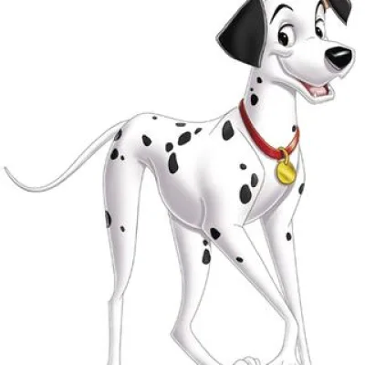 Pongo