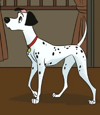 Pongo