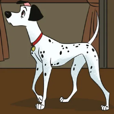 Pongo