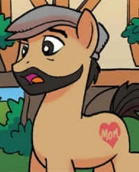 Pony Fleecs