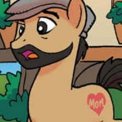 Pony Fleecs