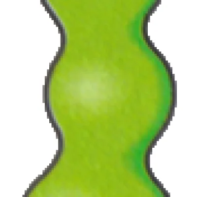 Popon