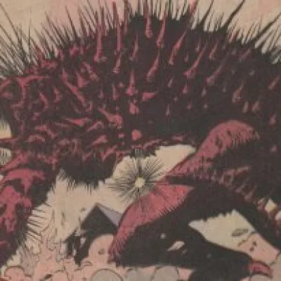 Porcupine Man