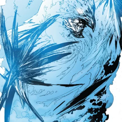 Psi-Hawk
