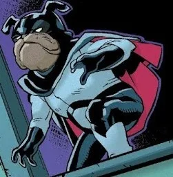 Pug-Smasher